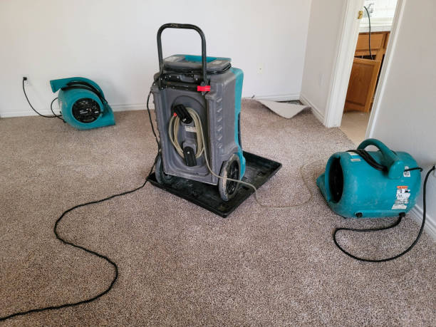 Best Ceiling water damage repair  in Runnemede, NJ