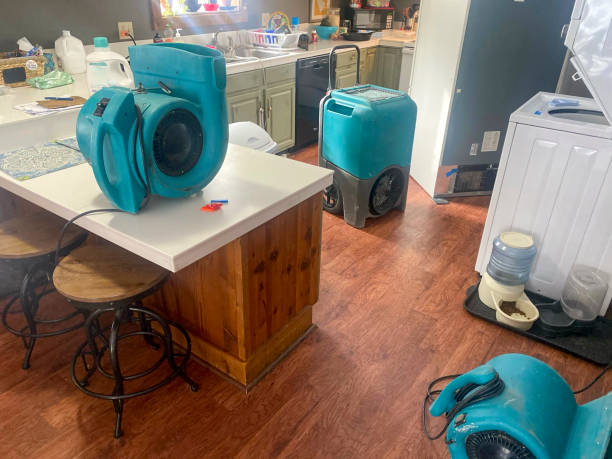 Best Local water damage restoration  in Runnemede, NJ