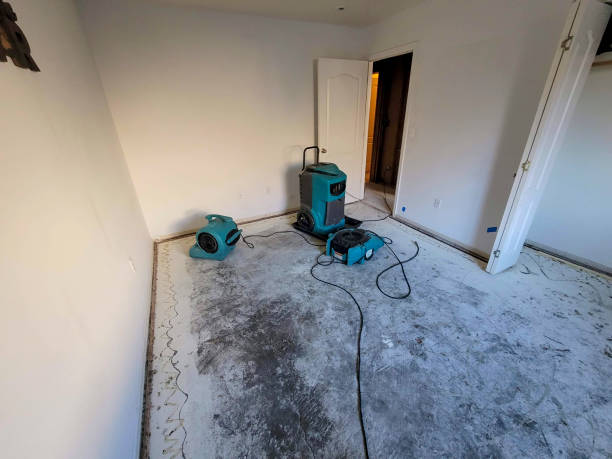 Best Water damage restoration near me  in Runnemede, NJ
