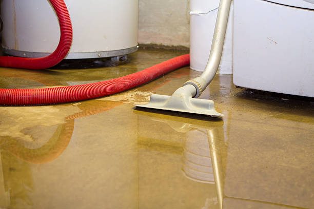 Best Water damage restoration near me  in Runnemede, NJ