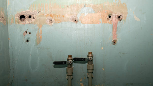 Best Water damage contractors near me  in Runnemede, NJ