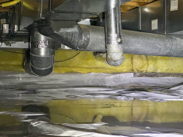 Best Basement water damage restoration  in Runnemede, NJ